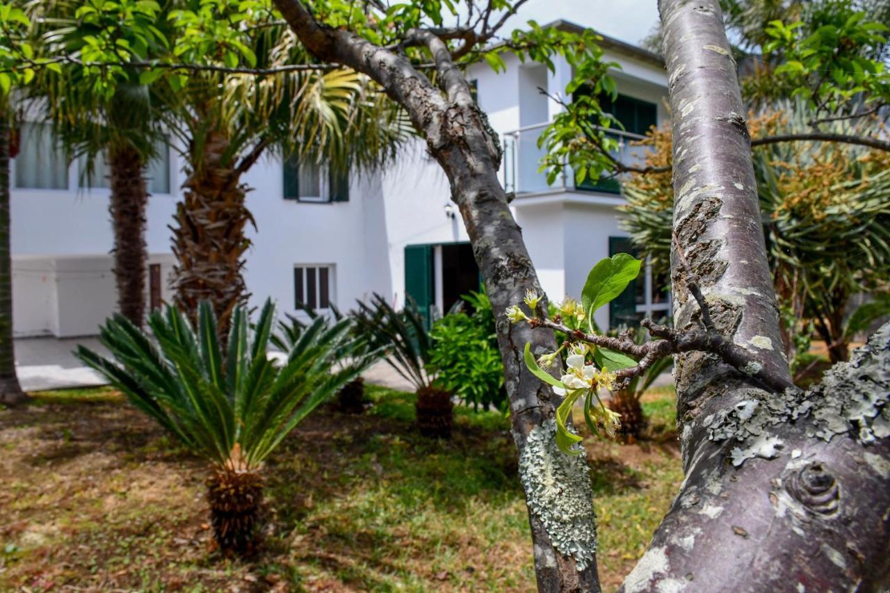 Casa Do Cantinho Do Muro São Vicente 外观 照片